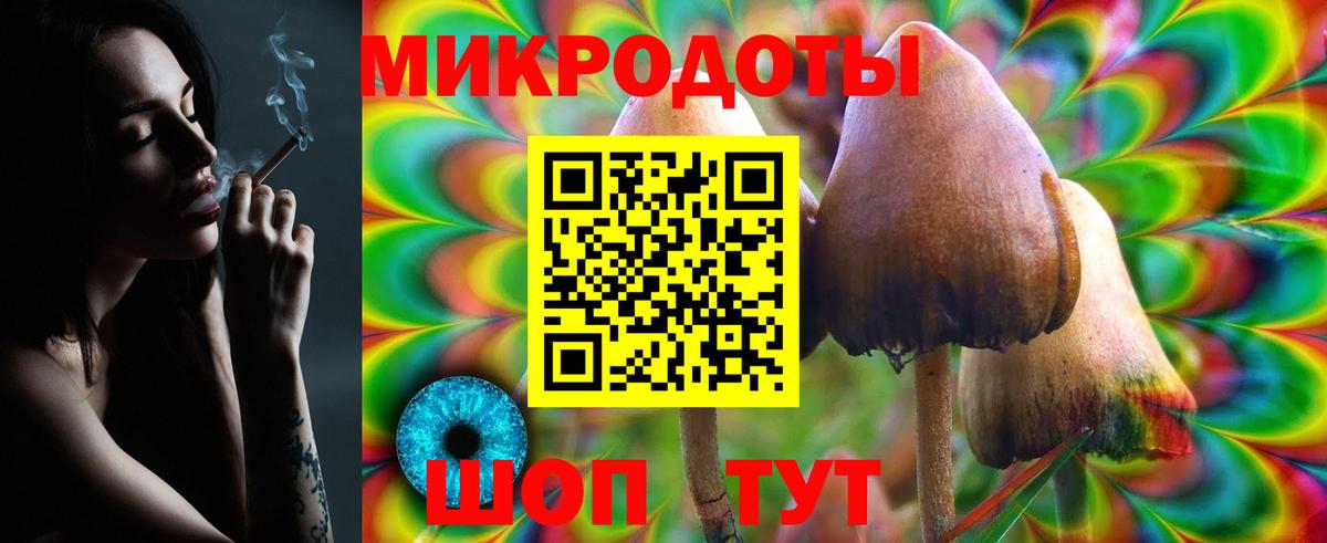 Псилоцибиновые грибы Psilocybe  Псилоцибиновые грибы мицелий  Азнакаево  Вход с VPN 